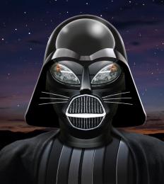 CathVader